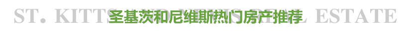 圣基茨和尼维斯护照