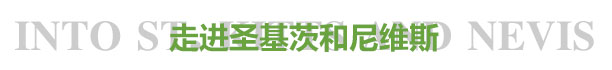圣基茨和尼维斯护照