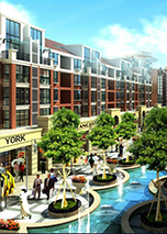 圣基茨和尼维斯护照