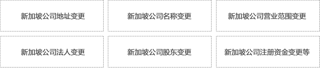 新加坡公司信息变更类型