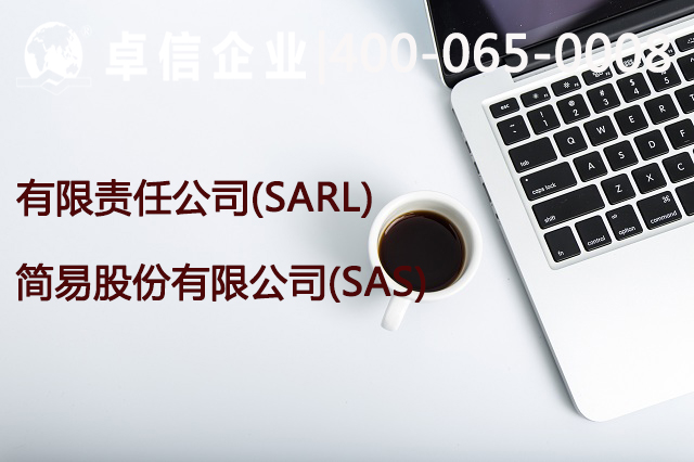 简易股份有限公司(SAS)