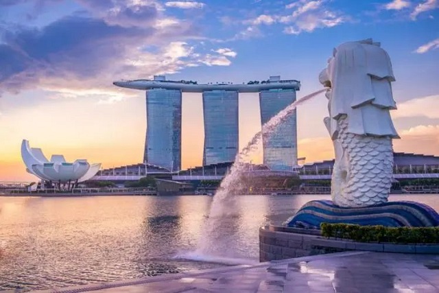 新加坡公司维护全解析：确保合规与稳健运营