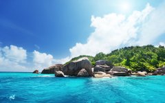 注册BVI公司的弊端