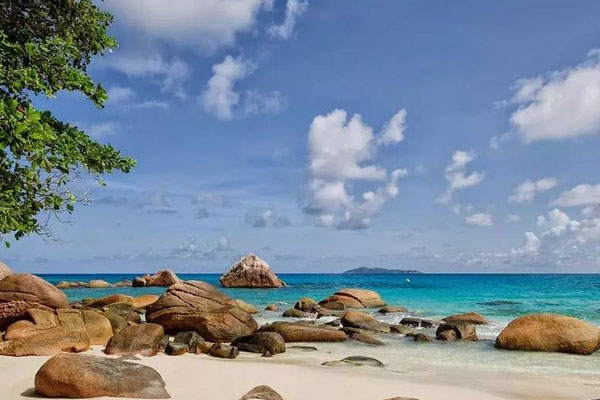 离岸公司注册流程