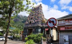 塞舌尔注册公司如何税务申报