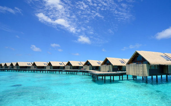 注册萨摩亚公司名称有什么要求