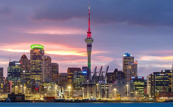 新西兰公司注册查询方法