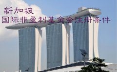 新加坡国际非盈利基金会注册条件