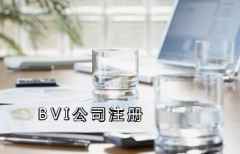 注册BVI公司详细流程