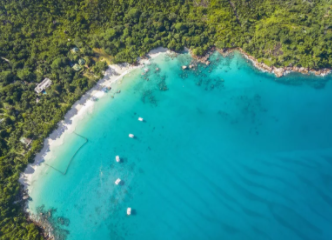 注册塞舌公司类型及优势有哪些?