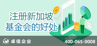 新加坡基金会的好处