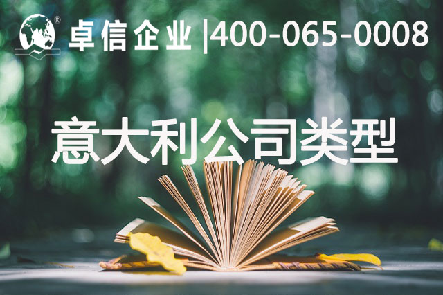 注册意大利公司类型