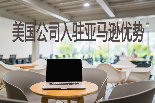 美国公司入驻亚马逊的优势