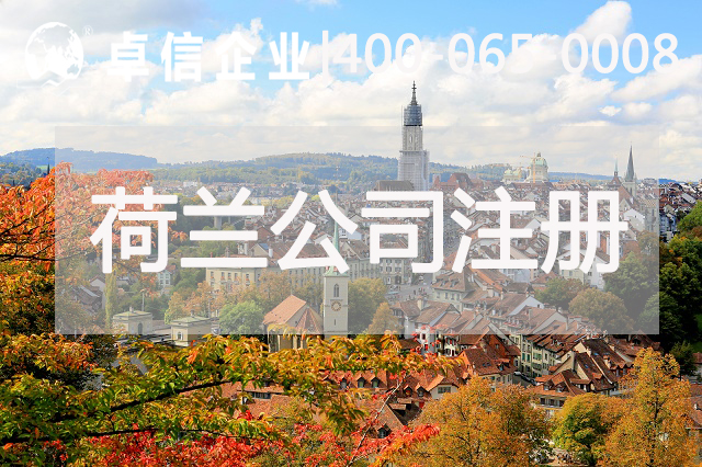 注册荷兰公司优势