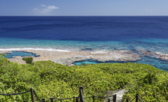 纽埃离岸公司注册