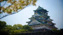 日本公司注册一个月能完成吗 日本公司注册步骤介绍