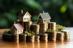 香港公司注册资金后期修改：可行性与实操指南