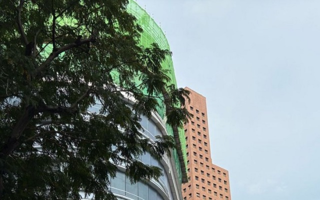 新加坡商品与服务税的征收范围解析