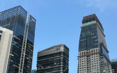 新西兰公司注册对股东资格要求全面解析