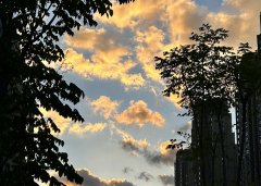 2025上半年，中国企业出海刷新全球副本：更猛、更强、更聪明