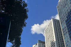 注册巴林公司完整流程解析