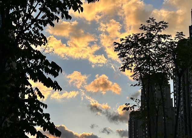 注册爱尔兰公司注册资金全解析