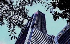 外国人注册塞舌尔公司是否需要本地董事