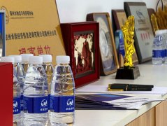 匈牙利公司注册步骤拆解，一步一步看懂设立流程